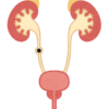 [尿管ステント留置術]尿管結石で緊急搬送・入院・手術(尿管ステント留置術)をした体験